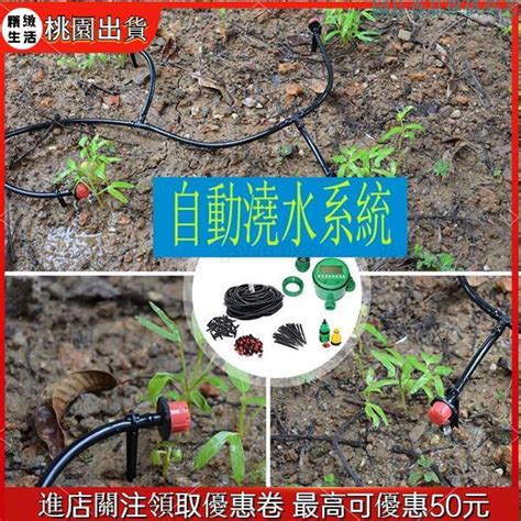 苔蘚澆水|簡單易懂的苔球diy製作教學&苔球照顧方法：澆水、施。